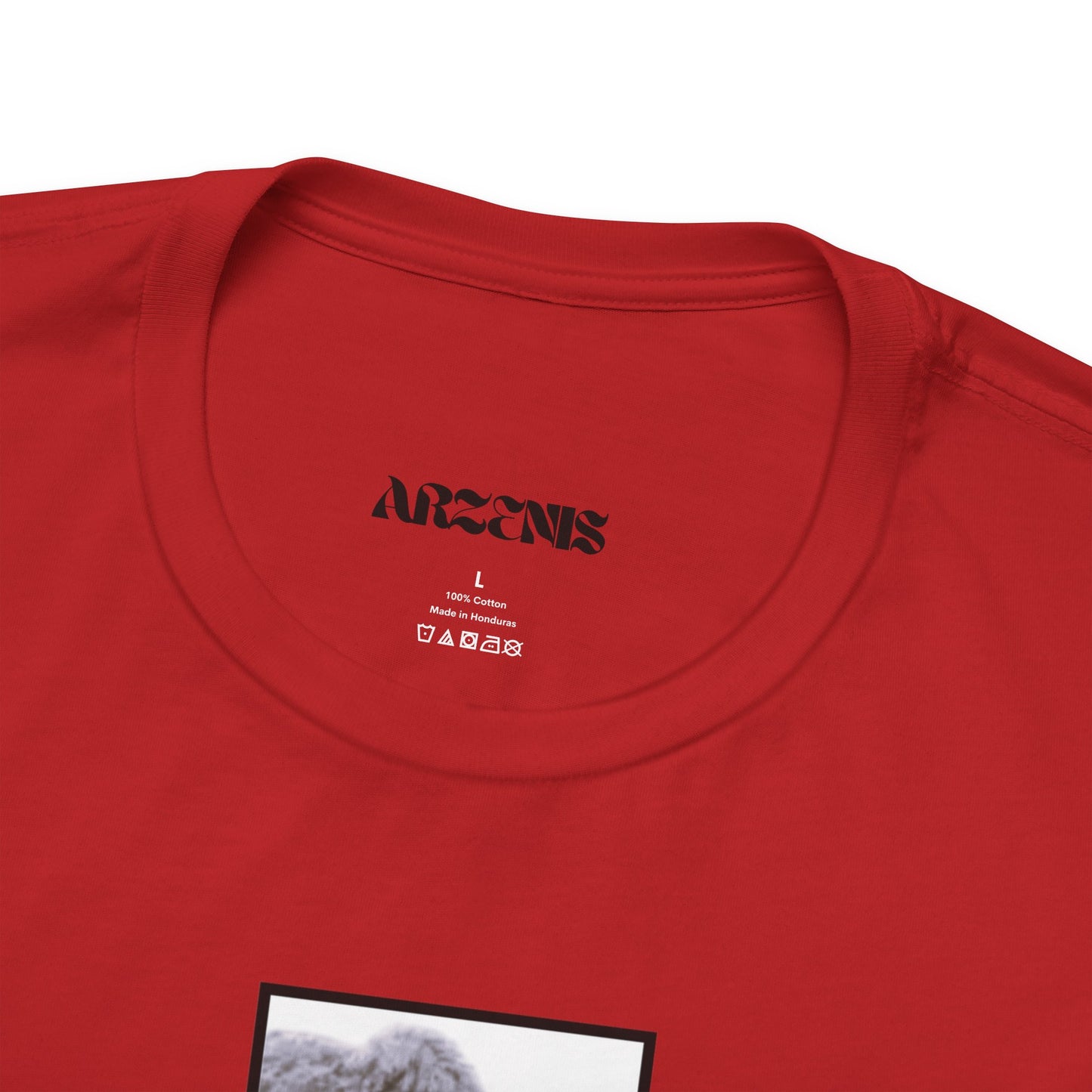 Teddy Graphic T-Shirt