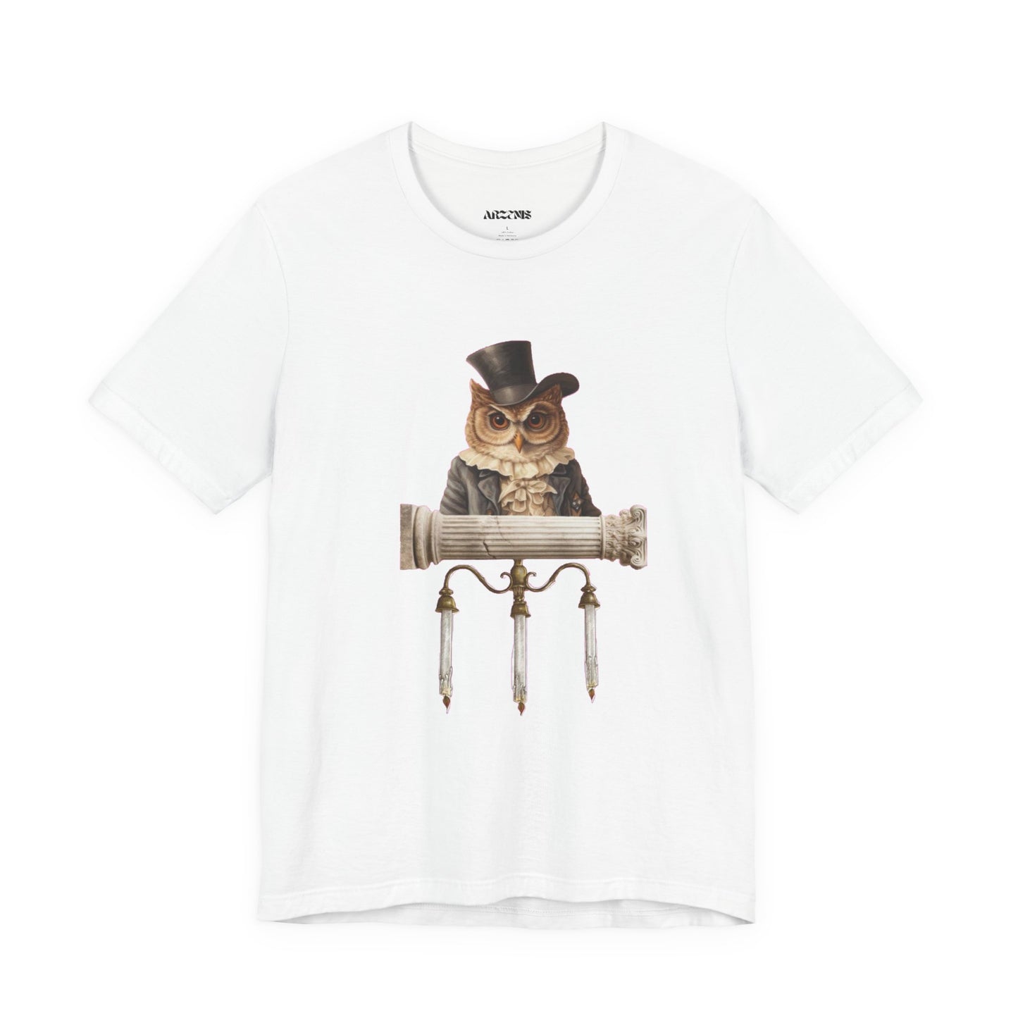 Whimsical Owl T-Shirt