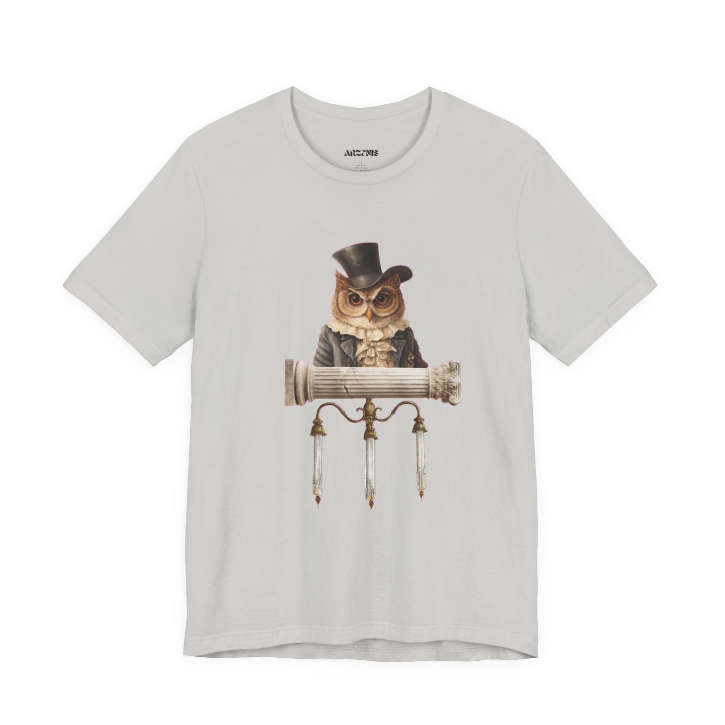 Whimsical Owl T-Shirt