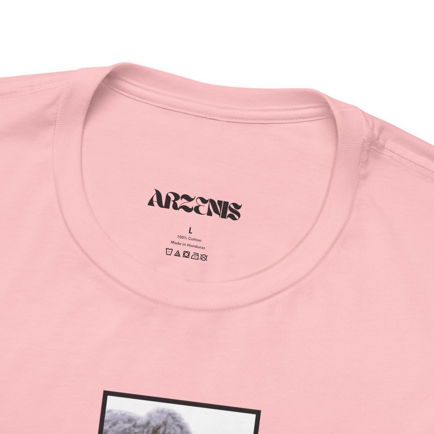 Teddy Graphic T-Shirt