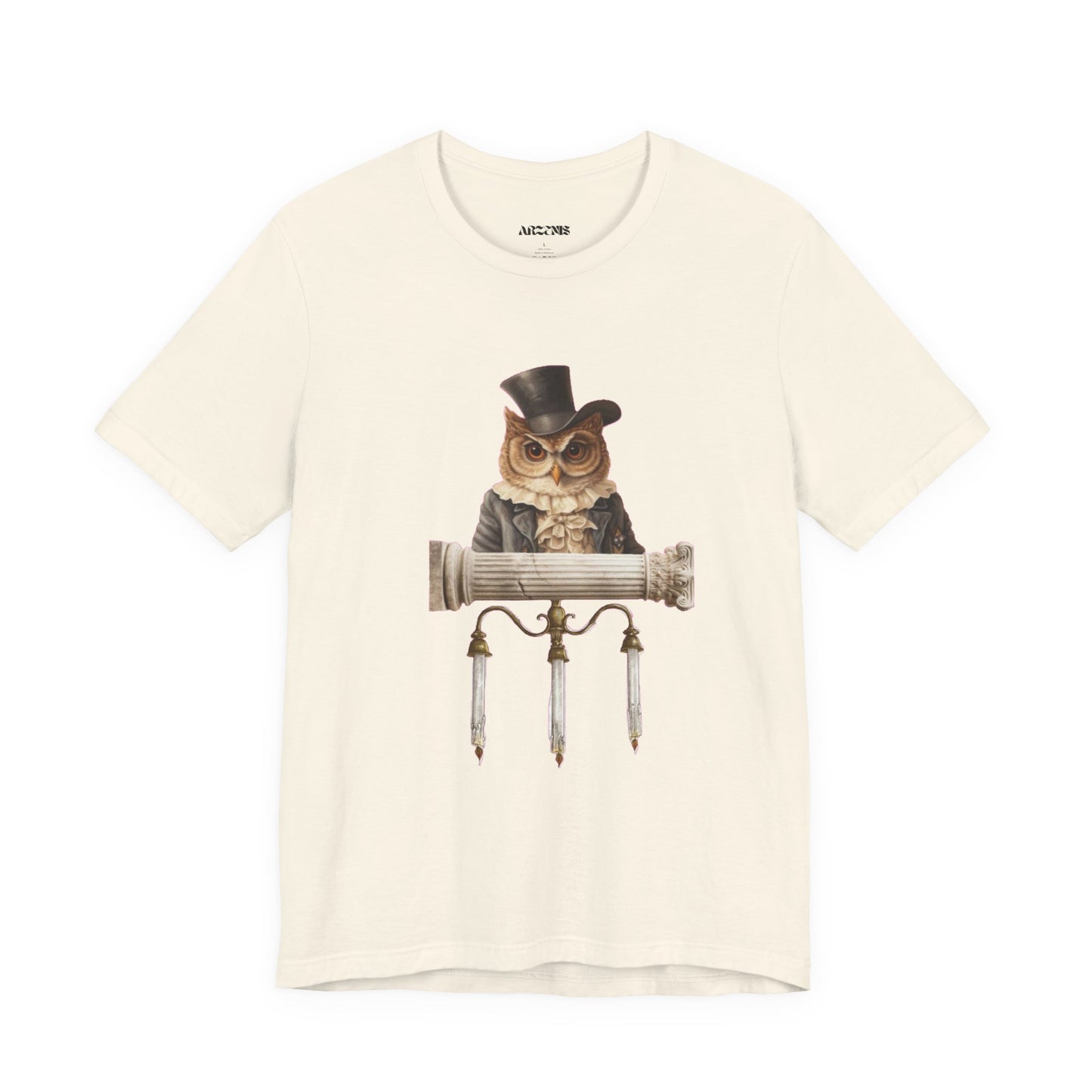 Whimsical Owl T-Shirt