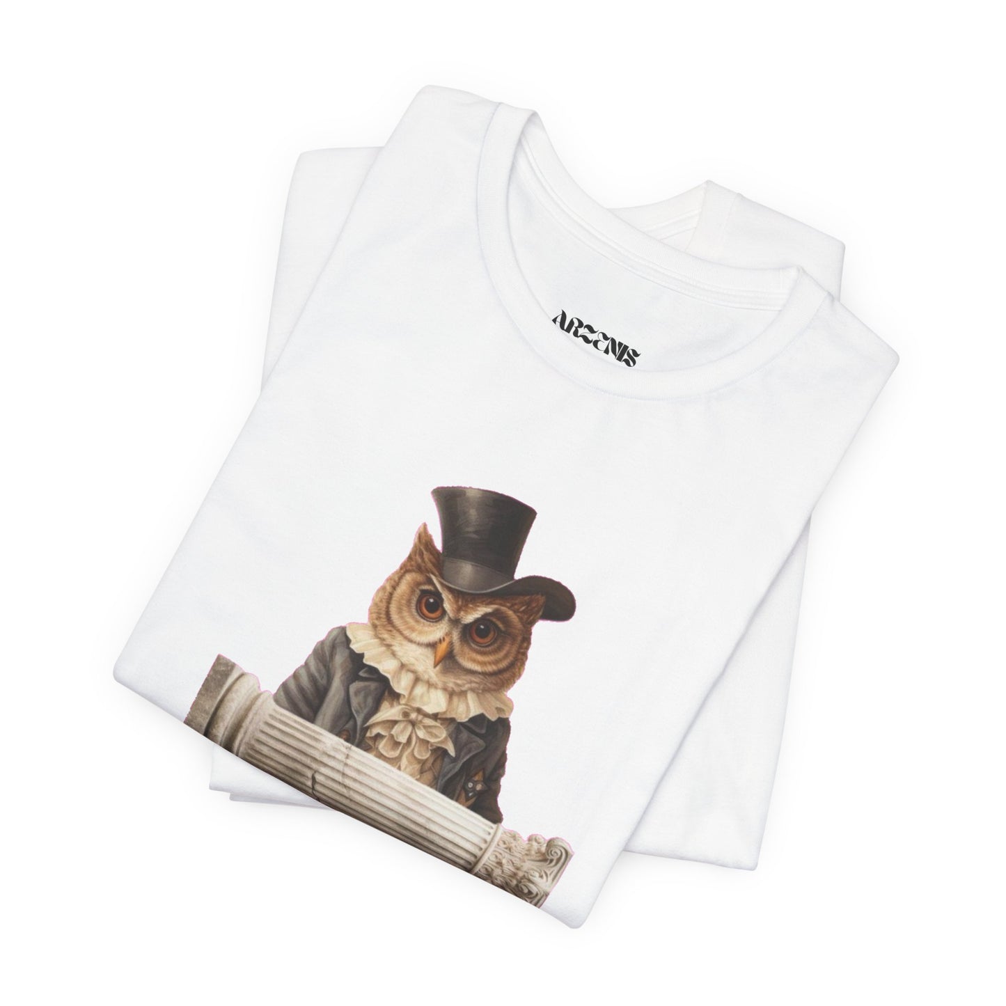 Whimsical Owl T-Shirt