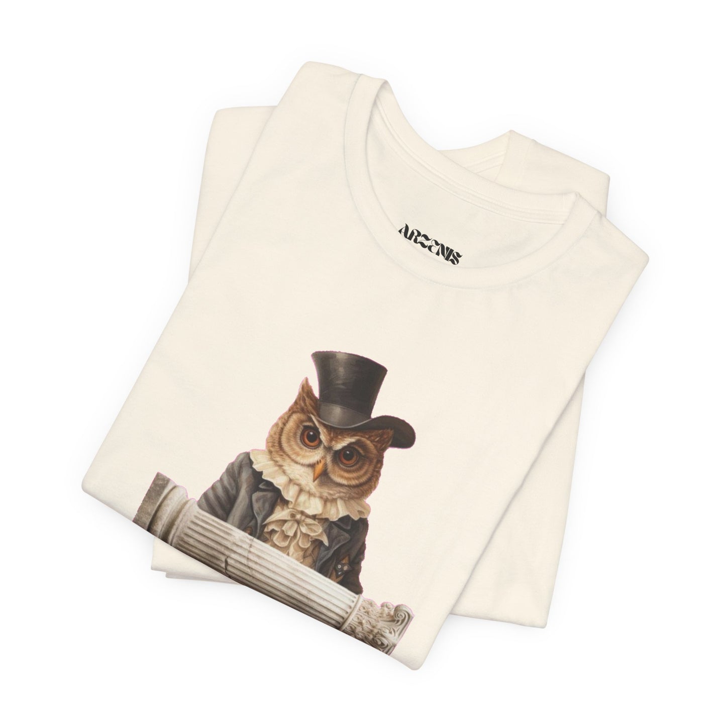 Whimsical Owl T-Shirt