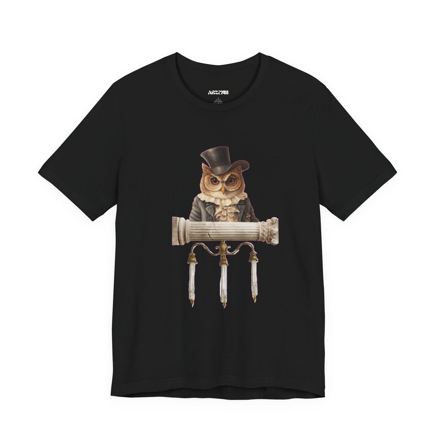 Whimsical Owl T-Shirt
